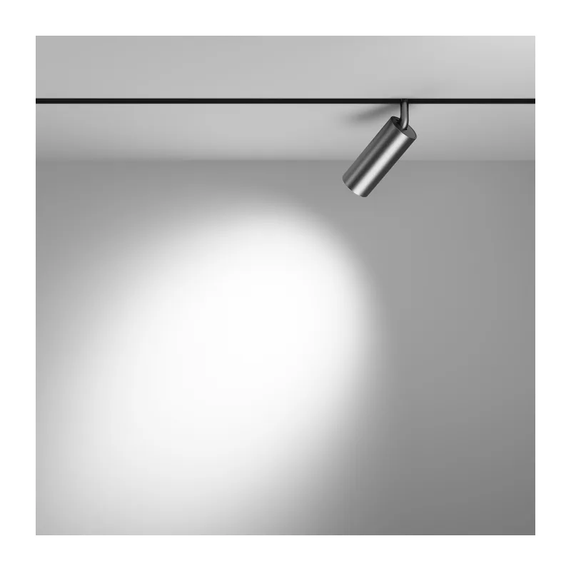 Трековый светильник Фокус / Focus Led Exility 4000K 12Вт 24° Maytoni TR032-2-12W4K-S-MG 4
