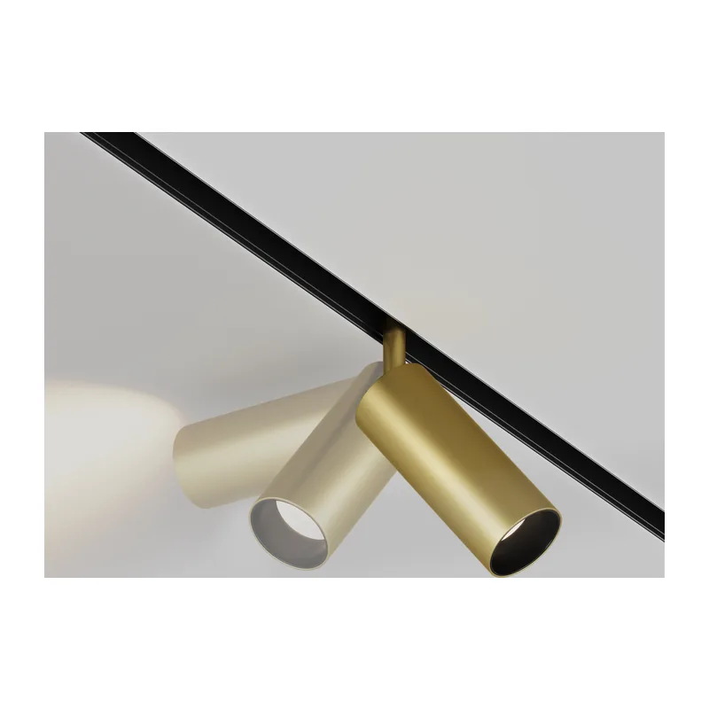Трековый светильник Фокус / Focus Led Exility 4000K 12Вт 24° Maytoni TR032-2-12W4K-S-MG 5