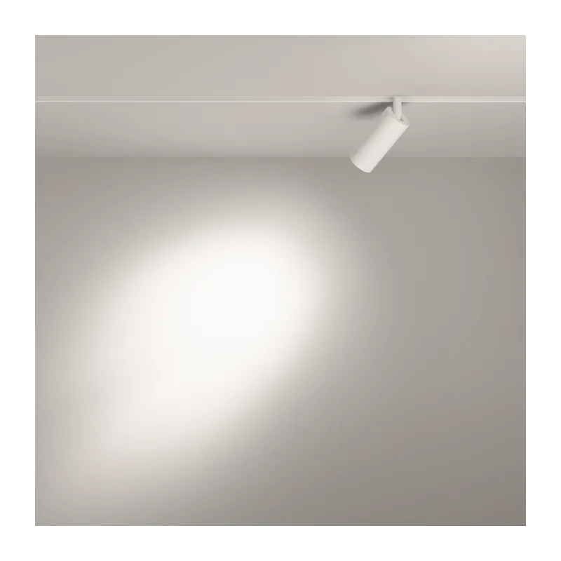 Трековый светильник Фокус / Focus Led Exility 4000K 5Вт 24° Maytoni TR032-2-5W4K-S-W 5