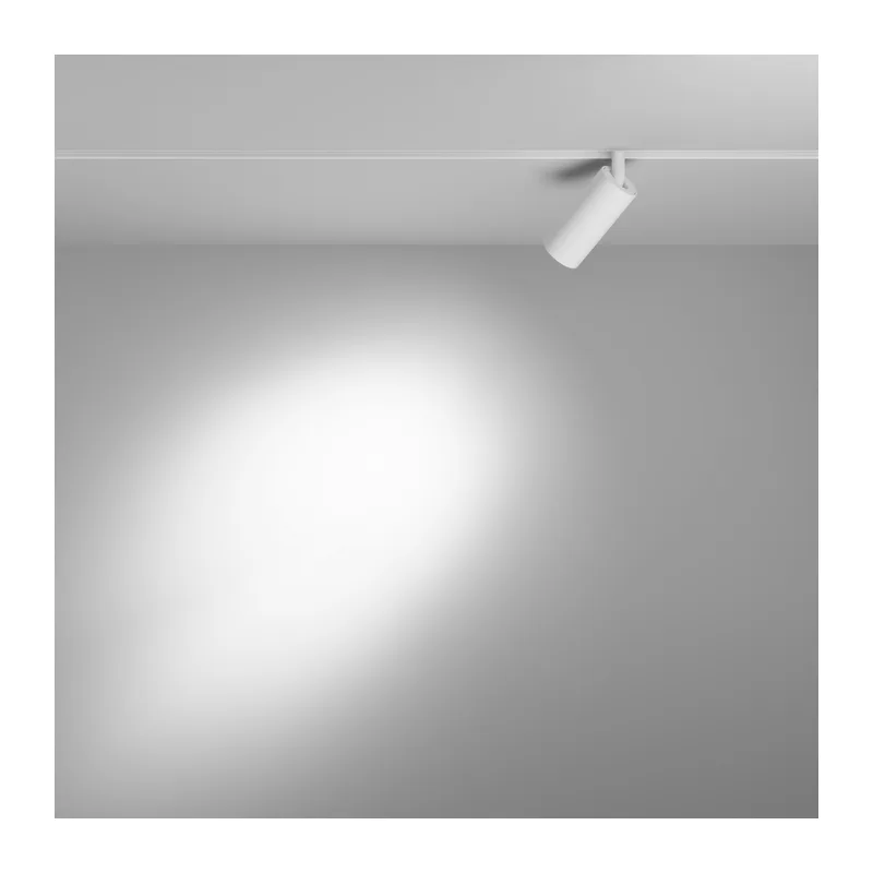 Трековый светильник Фокус / Focus Led Exility 4000K 5Вт 24° Maytoni TR032-2-5W4K-S-W 9