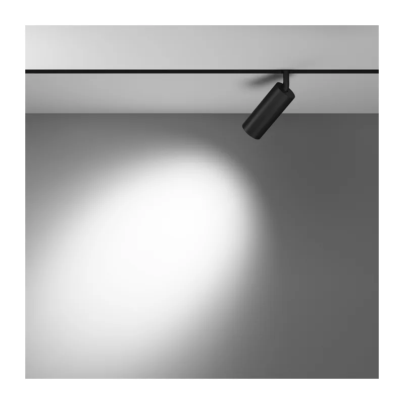 Трековый светильник Фокус / Focus Led Exility 2700-6000K 12Вт 36° Dim Dali2 Maytoni TR032-4-12WTW-M-DD2-B 4