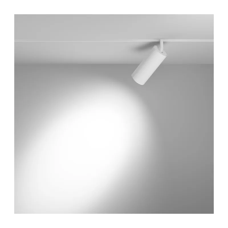 Трековый светильник Фокус / Focus Led Exility 2700-6000K 20Вт 36° Dim Dali2 Maytoni TR032-4-20WTW-M-DD2-W 5