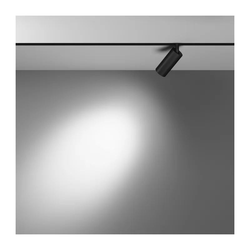 Трековый светильник Фокус / Focus Led Exility 2700-6000K 5Вт 36° Dim Dali1 Maytoni TR032-4-5WTW-S-DD-B 11