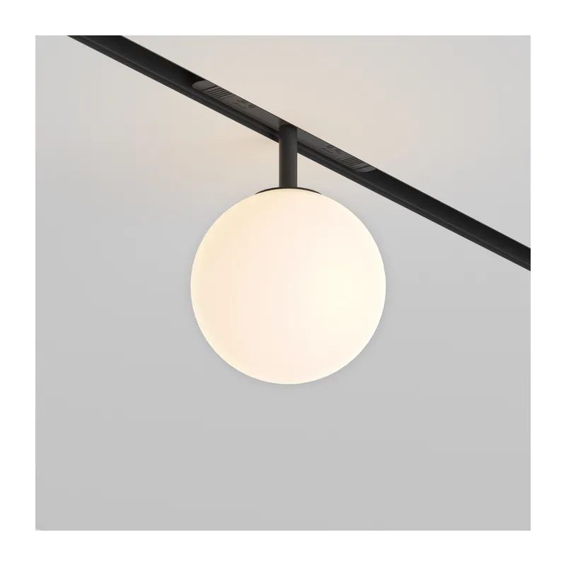 Трековый светильник Луна / Luna Exility 3000K 5Вт 360° Maytoni TR038-2-5W3K 3