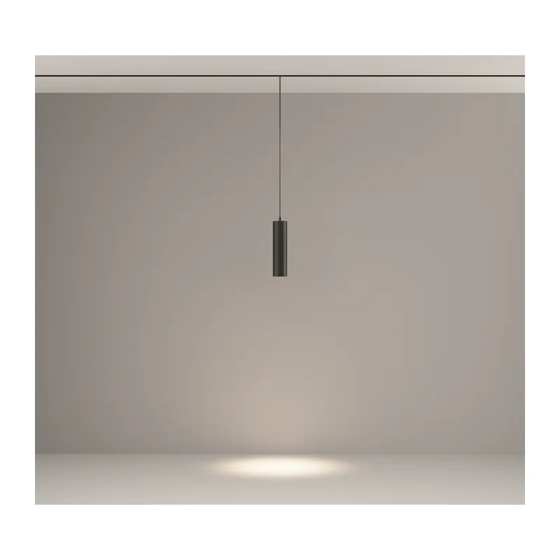 Трековый подвесной светильник Фокус / Focus Led Exility 4000K 12Вт 36° Maytoni TR041-2-12W4K-B 4
