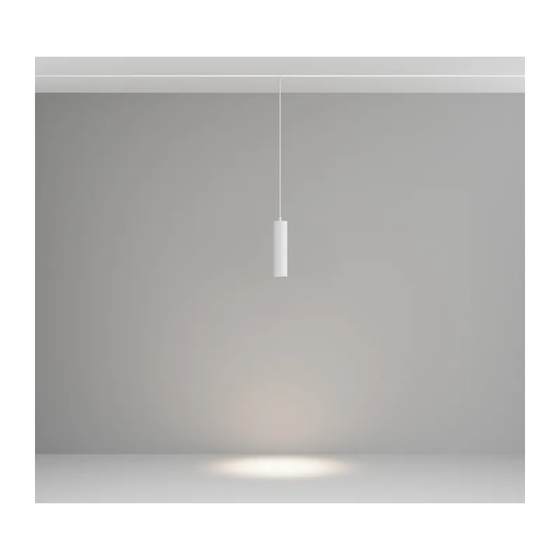 Трековый подвесной светильник Фокус / Focus Led Exility 4000K 12Вт 36° Maytoni TR041-2-12W4K-W 10