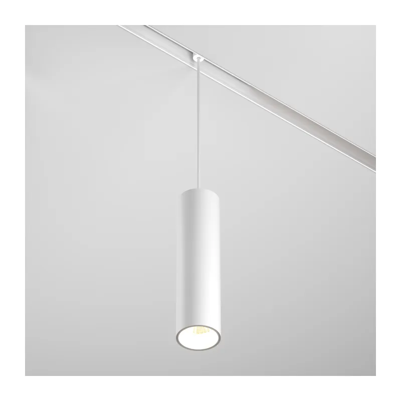 Трековый подвесной светильник Фокус / Focus Led Exility 2700-6000K 12Вт 36° Dim Smart Maytoni TR041-4-12W3K-M-DS-W 4