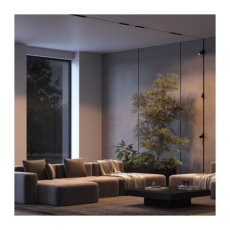 Трековый светильник Точки / Points Radity 3000K 6Вт 36° Maytoni TR082-1-6W3K-M-B 3