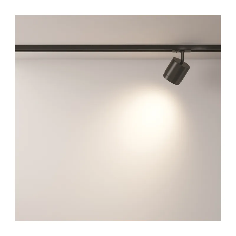 Трековый светильник Полярный / Polar Unity GX53 12Вт Maytoni TR088-1-GX53-B 6