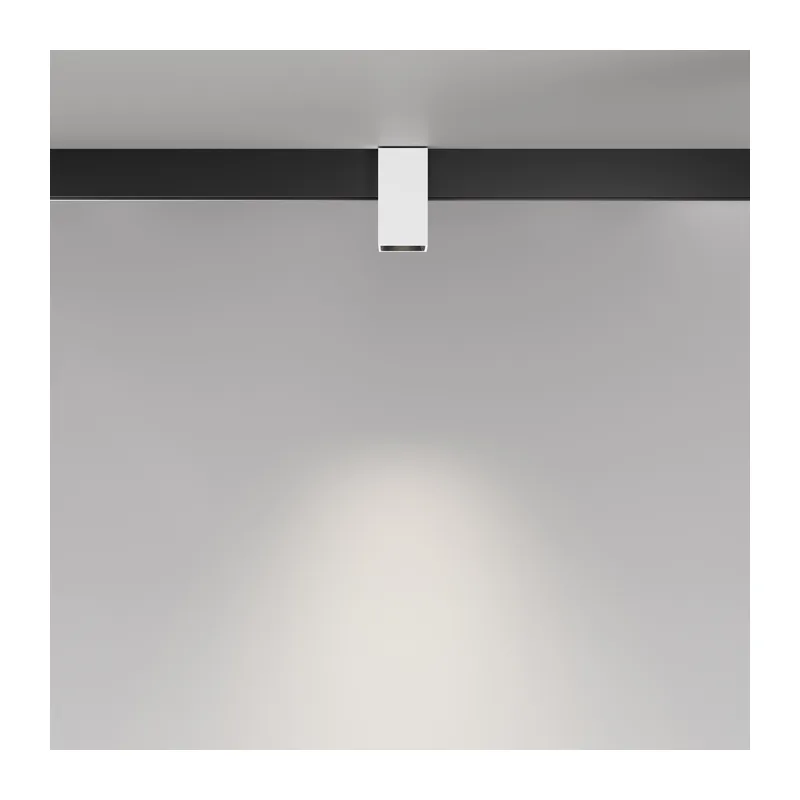 Трековый светильник Альфа / Alfa Exility 2700-6000K 7Вт 50° Dim Smart Maytoni TR121-4-7W-DS-W 4