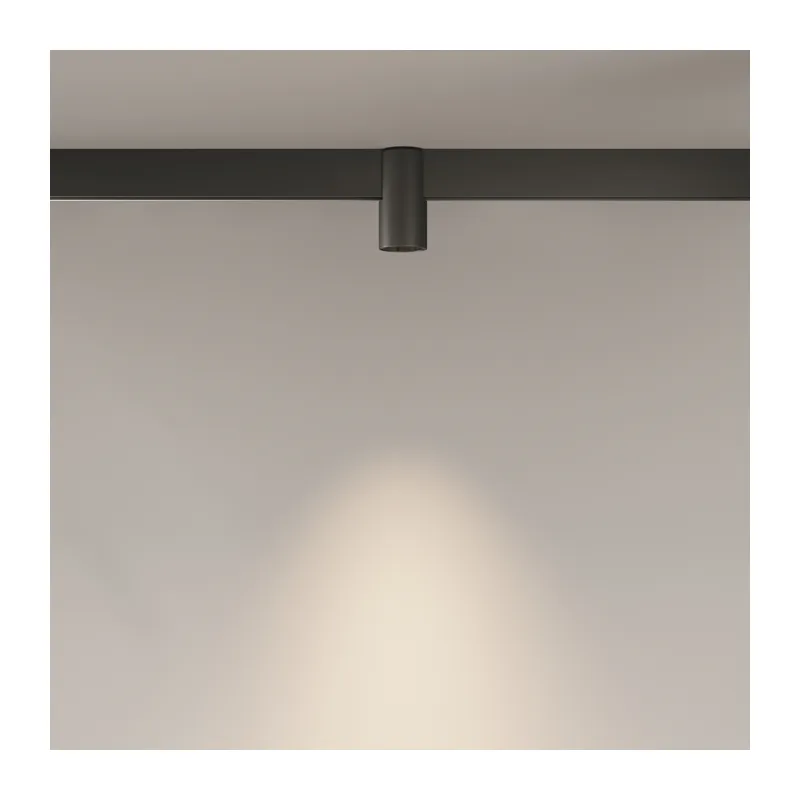 Трековый светильник Альфа / Alfa Exility 2700-6000K 7Вт 50° Dim Smart Maytoni TR122-4-7W-DS-B 5