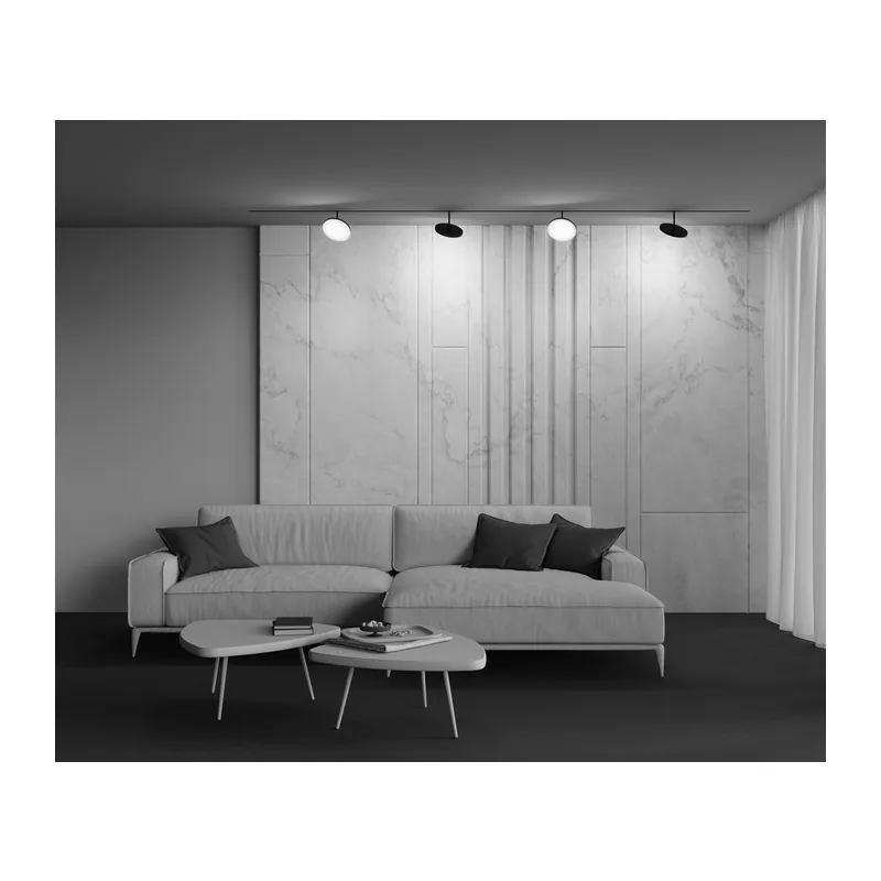 Трековый светильник Плато / Plato Exility 4000K 15Вт 120° Maytoni TR131-2-15W4K-B 10