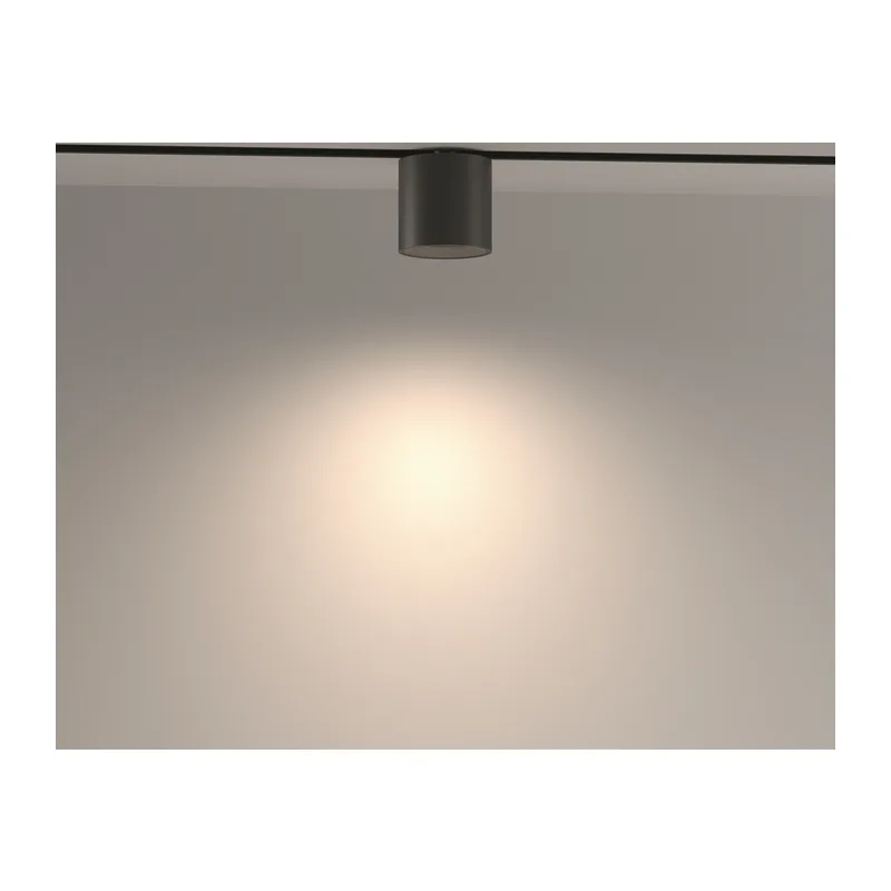 Трековый светильник Альфа / Alfa S Exility 2700-6000K 7Вт 50° Dim Smart Maytoni TR132-4-7W-DS-B 5