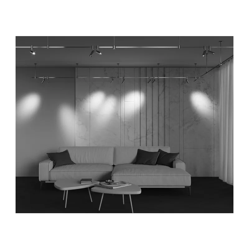 Трековый светильник Фокус / Focus Led Flarity 4000K 12Вт 50° Maytoni TR144-1-12W4K-W-PT 8