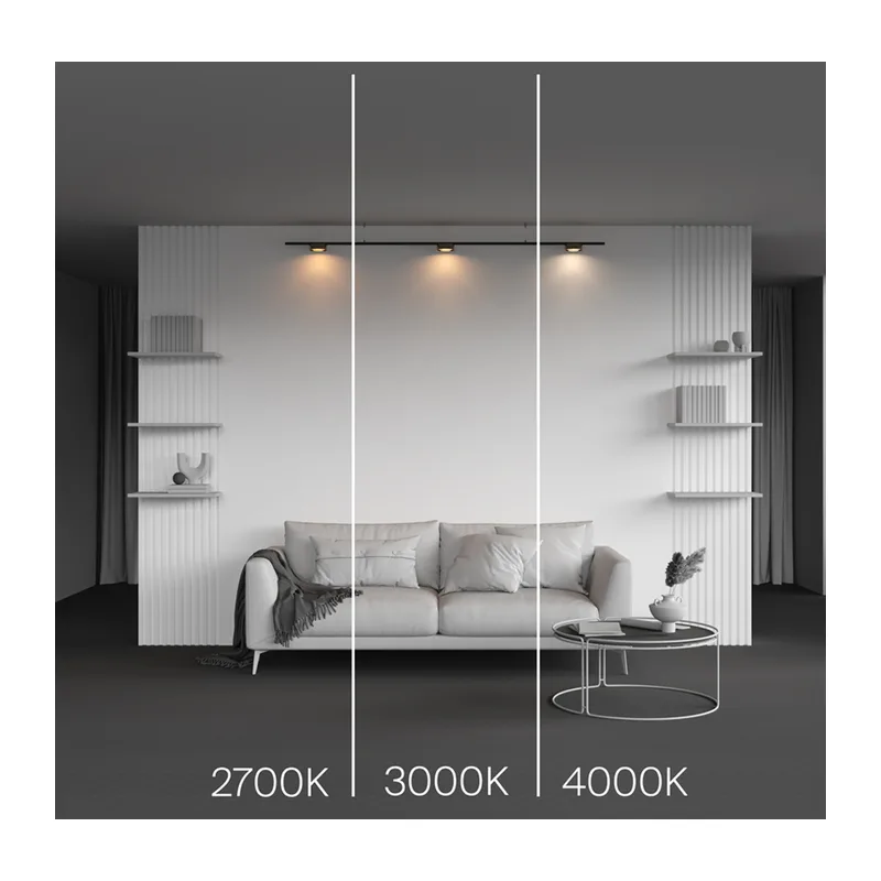 Трековый светильник Зон / Zon Levity 4000К 12Вт 100° Maytoni TR189-1-12W4K-BBS 8
