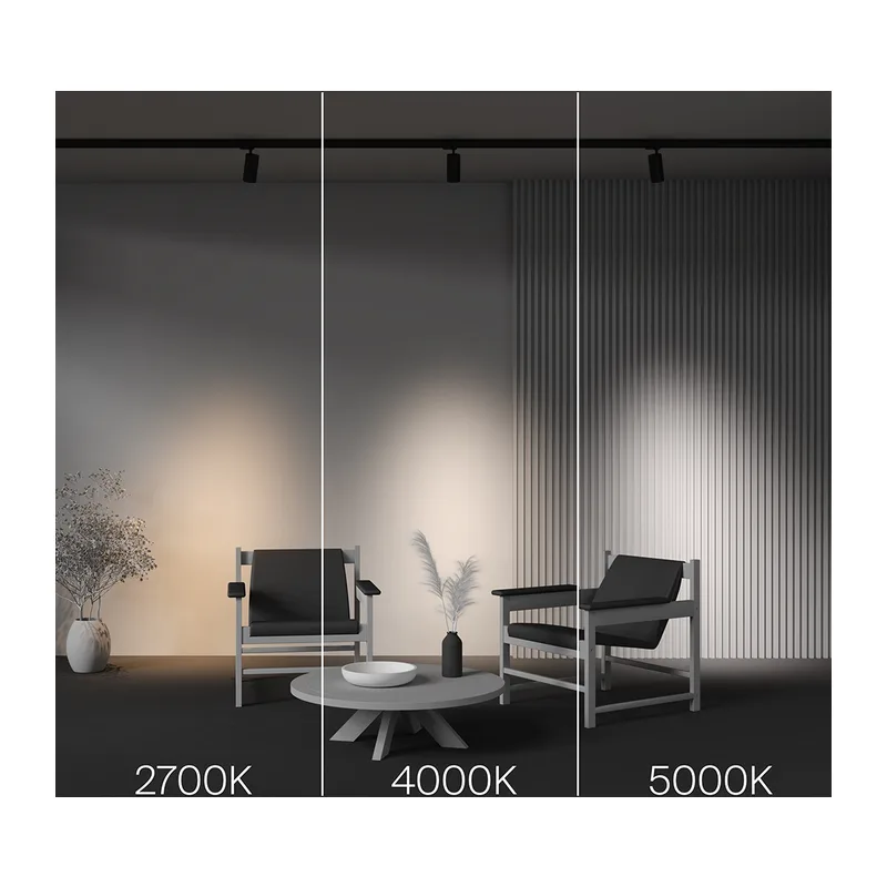 Трековый светильник Фокус / Focus Led Trinity 2700-5000K 20Вт 36° Maytoni TR197-3-20WCCT-M-B 6