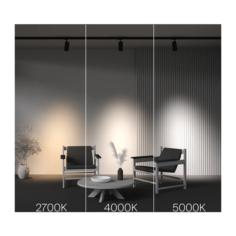 Трековый светильник Фокус / Focus Led Trinity 2700-5000K 30Вт 36° Maytoni TR197-3-30WCCT-M-B 3
