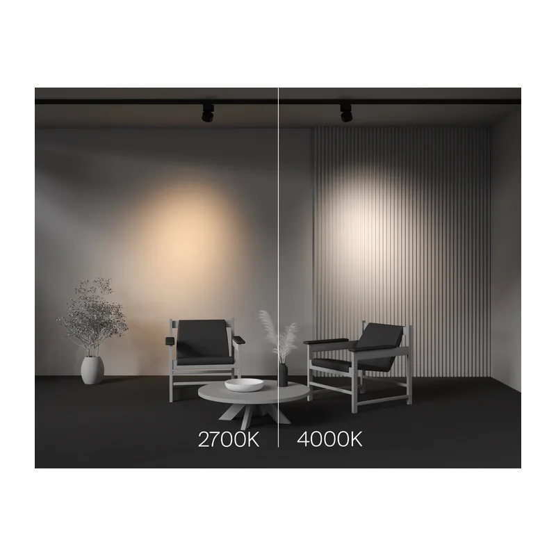Трековый светильник Альфа / Alfa Trinity 2700K 15Вт 36° Maytoni TR199-3-15W2.7K-M-B 3