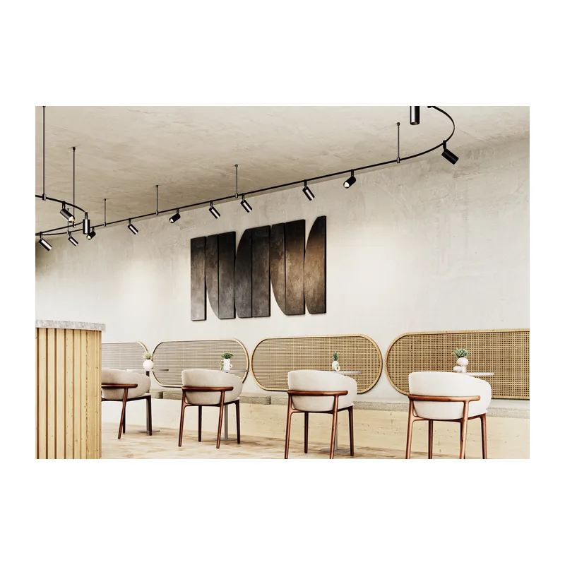 Трековый светильник Фокус / Focus Led 3000К 15Вт 36° Maytoni TR201-1-15W3K-M-BBS 10