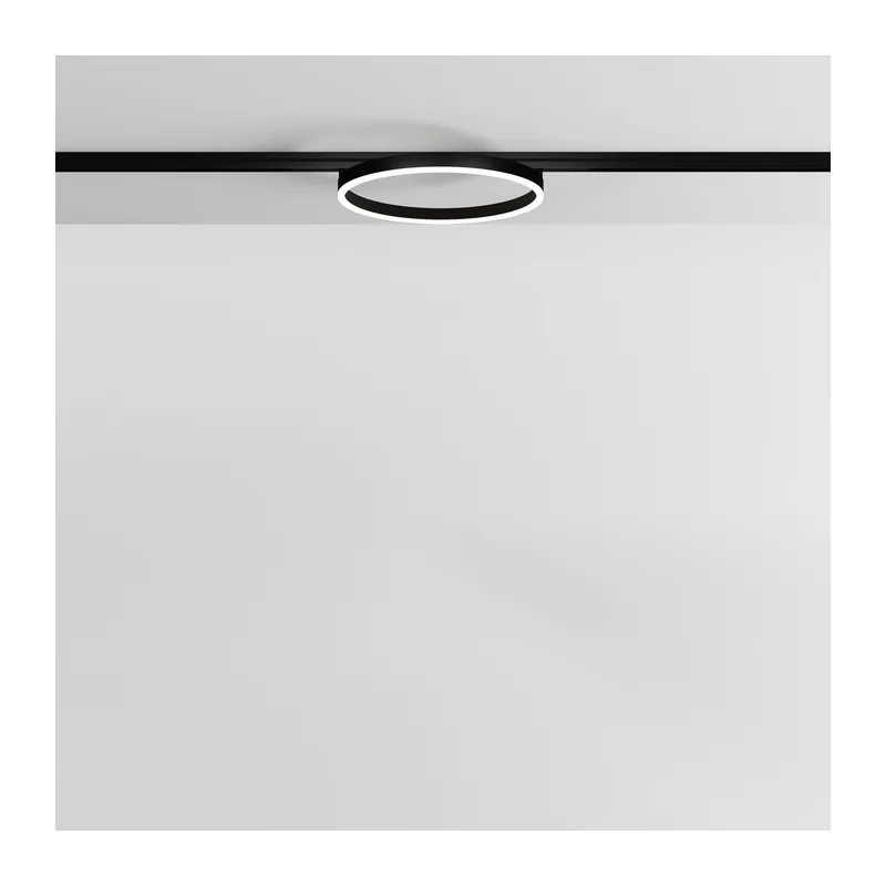 Трековый светильник Рим / Rim Exility 4000K 24Вт 120° Maytoni TR227-2-24W4K-B 4