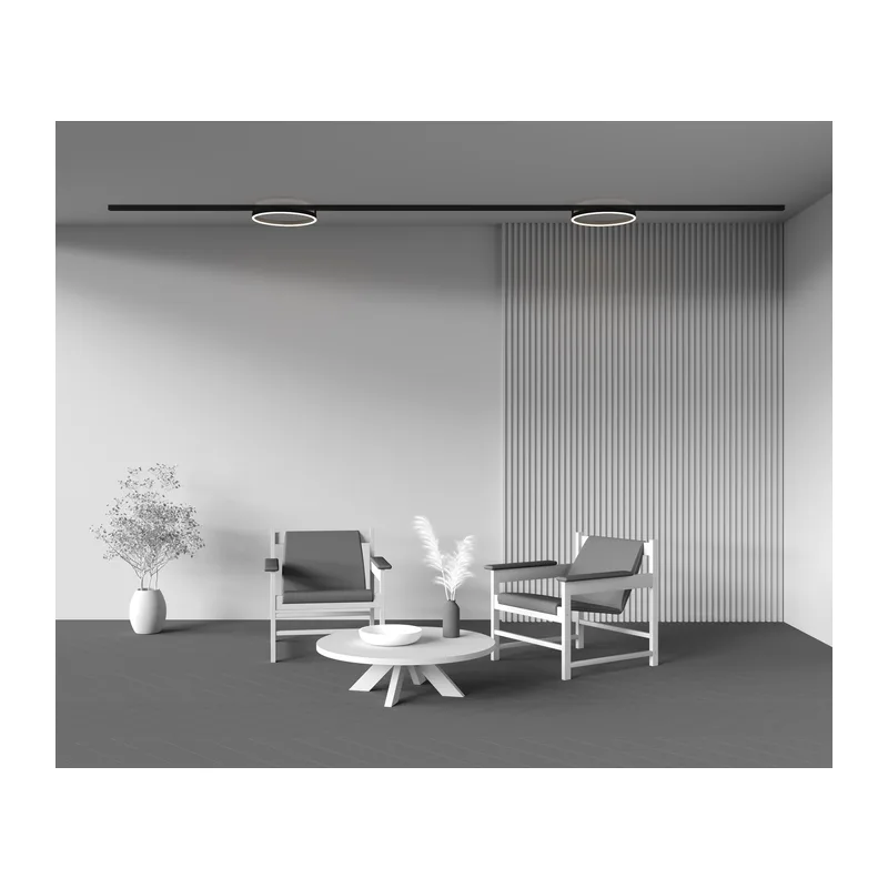 Трековый светильник Рим / Rim Exility 4000K 24Вт 120° Maytoni TR227-2-24W4K-B 8