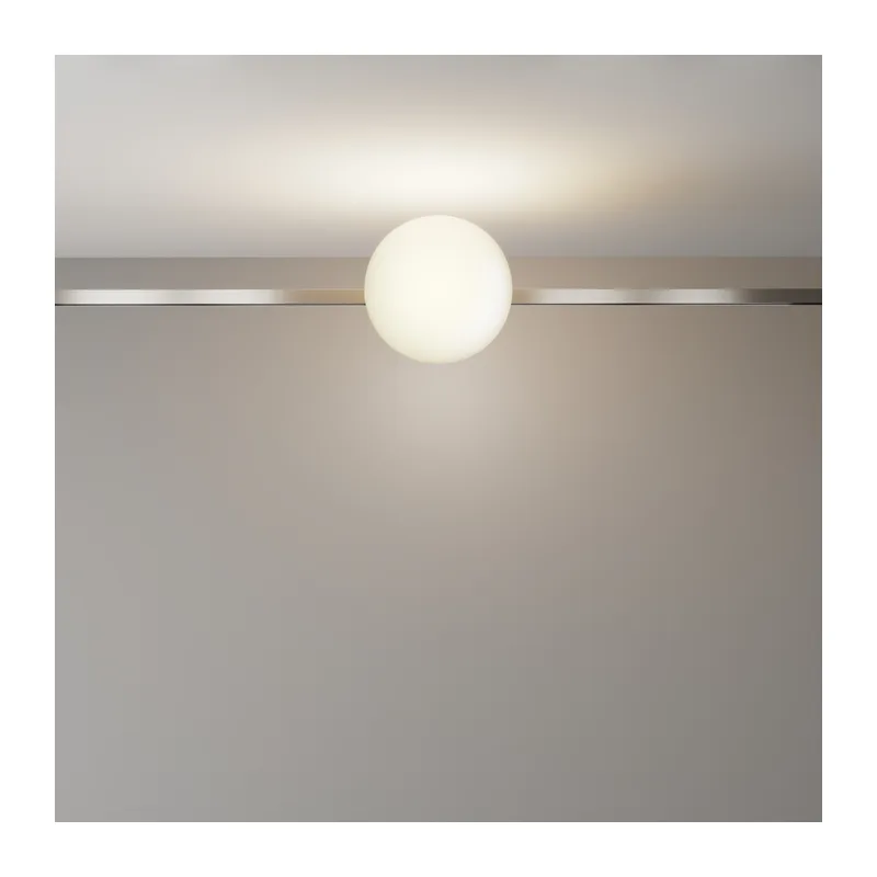 Трековый светильник Technical TR229-1-8W3K-PT Maytoni 4