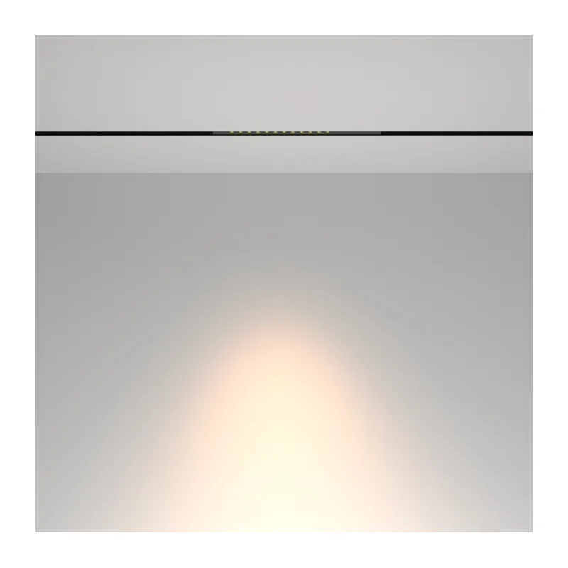 Трековый светильник Technical TR232-2-15W3K-B Maytoni 5