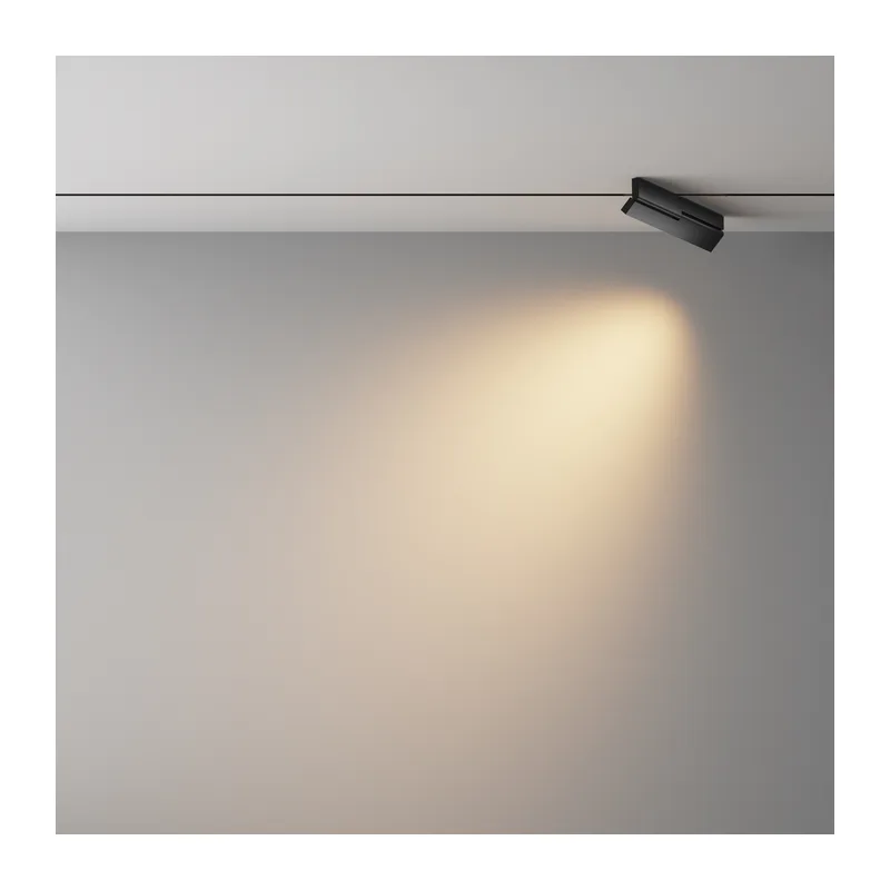 Трековый светильник Точки поворотный / Points Rot Exility X 2700-6000K 12Вт 40° Dim Smart Zigbee Maytoni TR242-4-12WTW-DSZ-B 4