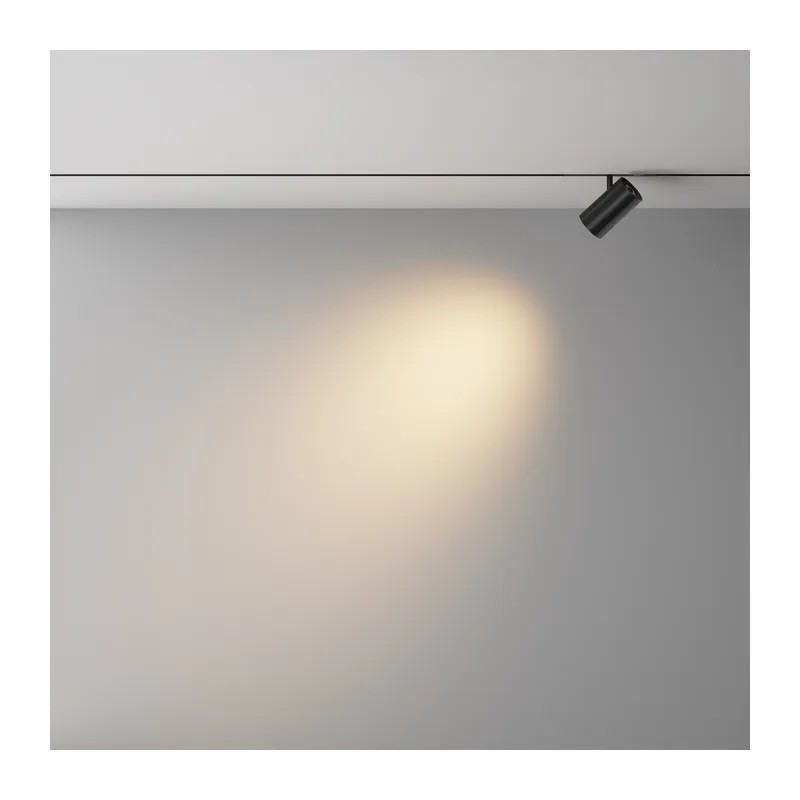 Трековый светильник Фокус / Focus Led Exility X 2700-6000K 12Вт 36° Dim Dali2 Maytoni TR243-4-12WTW-DD2-B 4