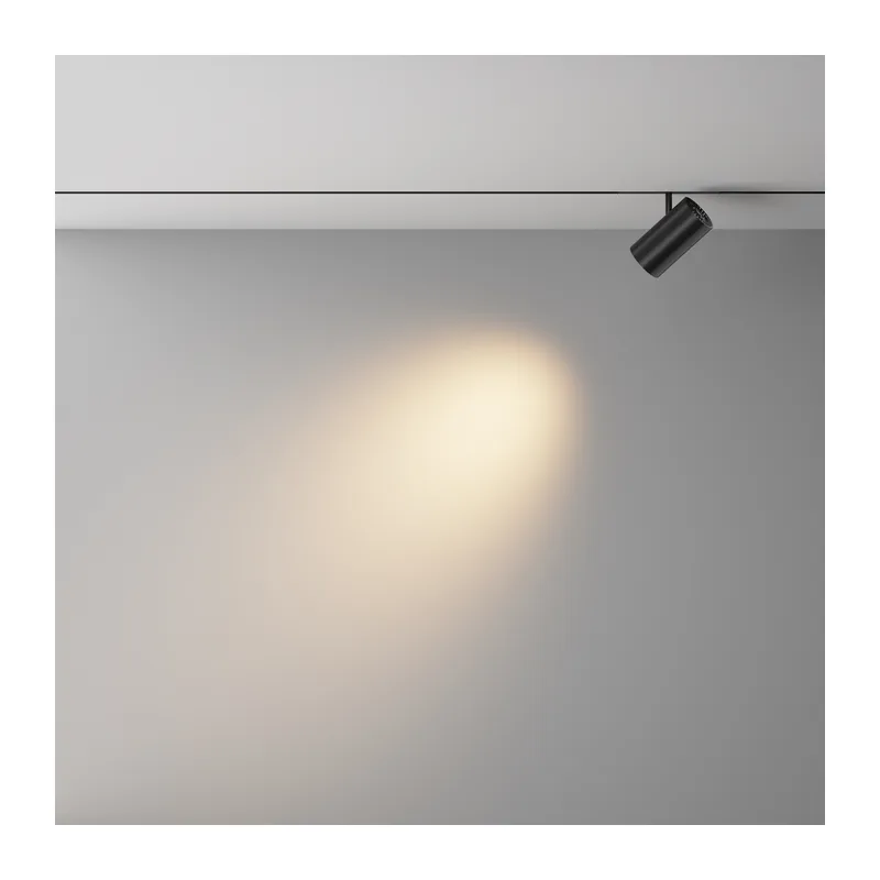 Трековый светильник Фокус / Focus Led Exility X 2700-6000K 18Вт 36° Dim Smart Zigbee Maytoni TR243-4-18WTW-DSZ-B 4