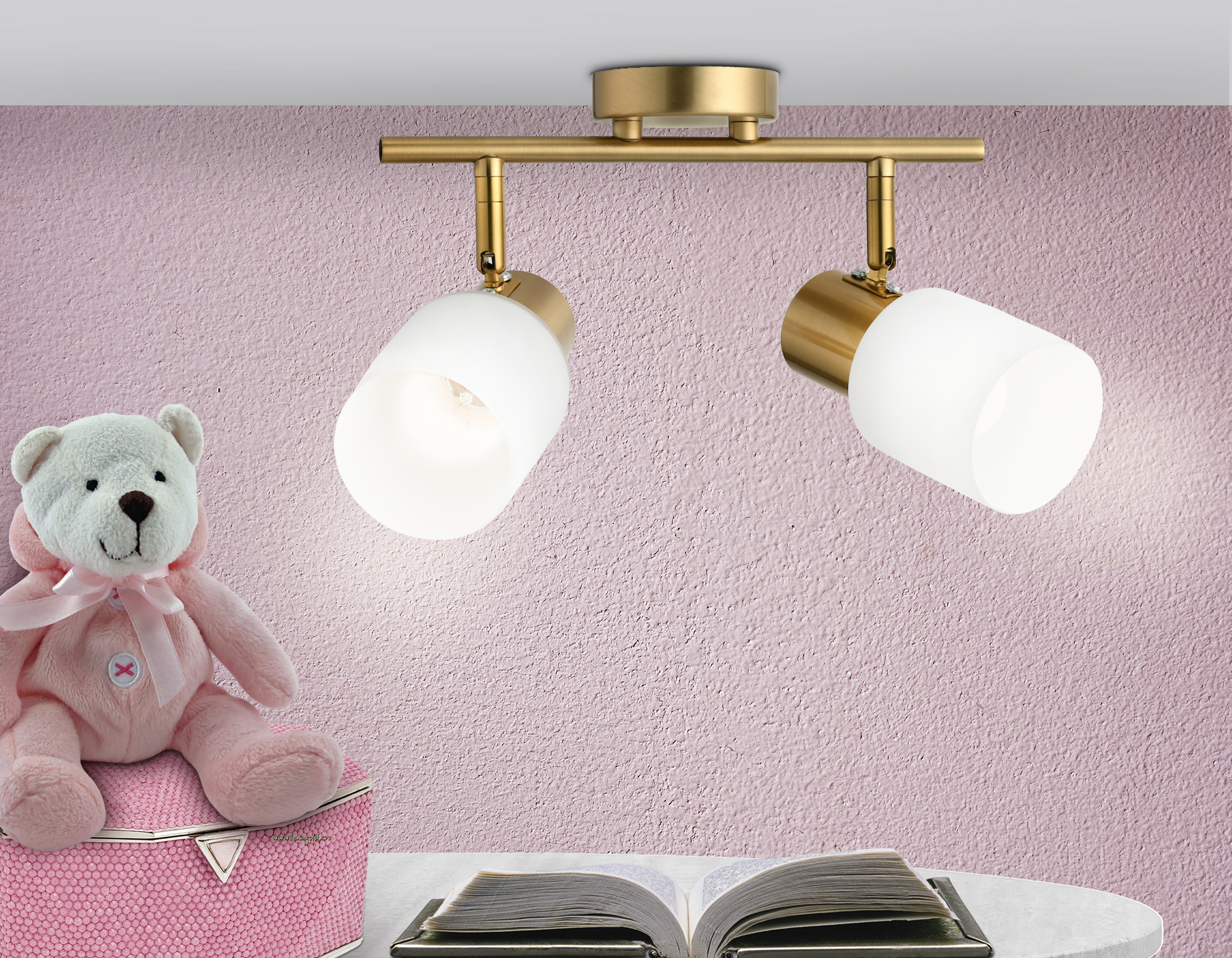 Настенно-потолочный спот TR3969/2 BS/FR латунь/белый матовый E27*2 max 40W 260*80*210 Ambrella Light 10