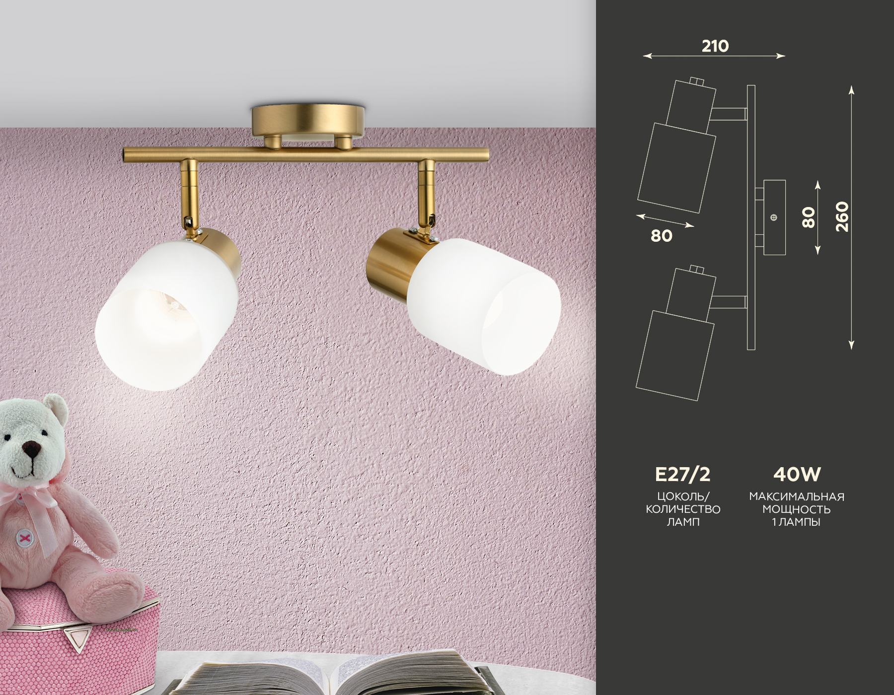 Настенно-потолочный спот TR3969/2 BS/FR латунь/белый матовый E27*2 max 40W 260*80*210 Ambrella Light 9