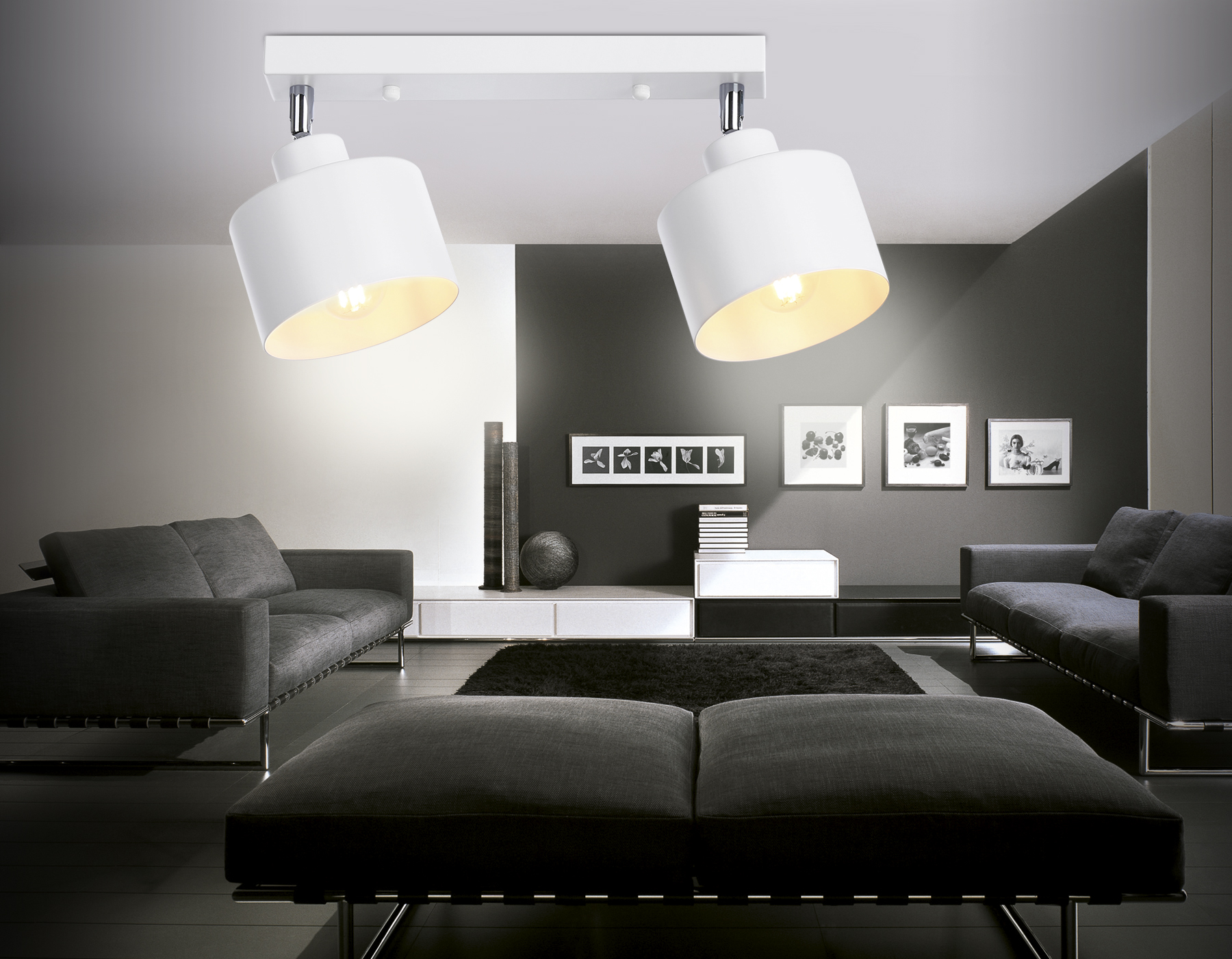 Настенно-потолочный спот в стиле лофт TR8141/2 WH белый E27*2 max 40W 340*120*180 Ambrella Light 4