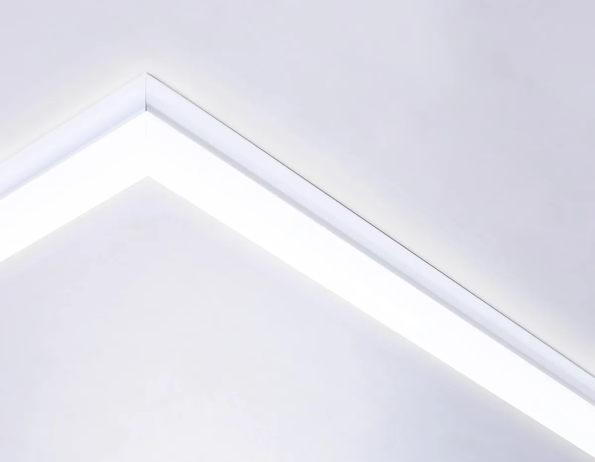 DPS1041