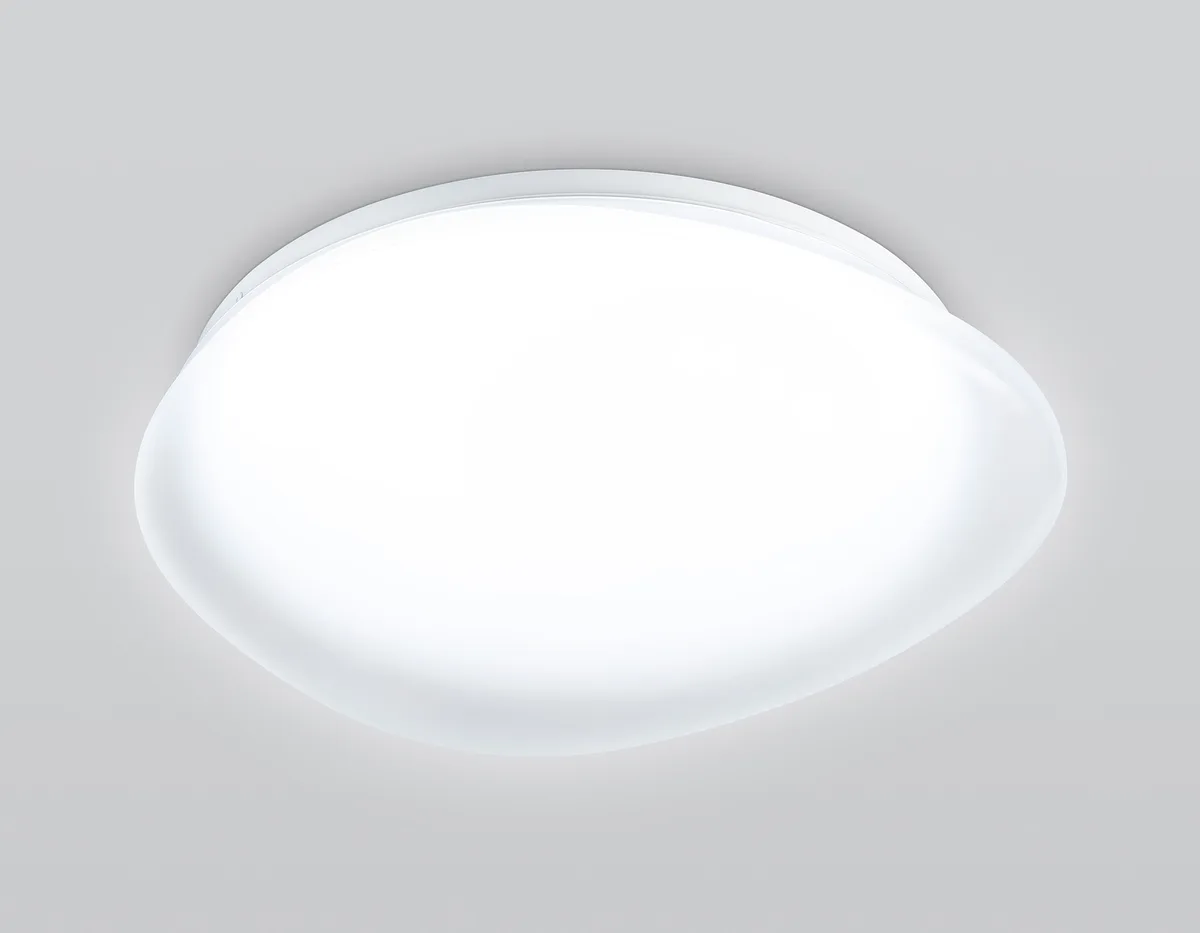 FZ1601
