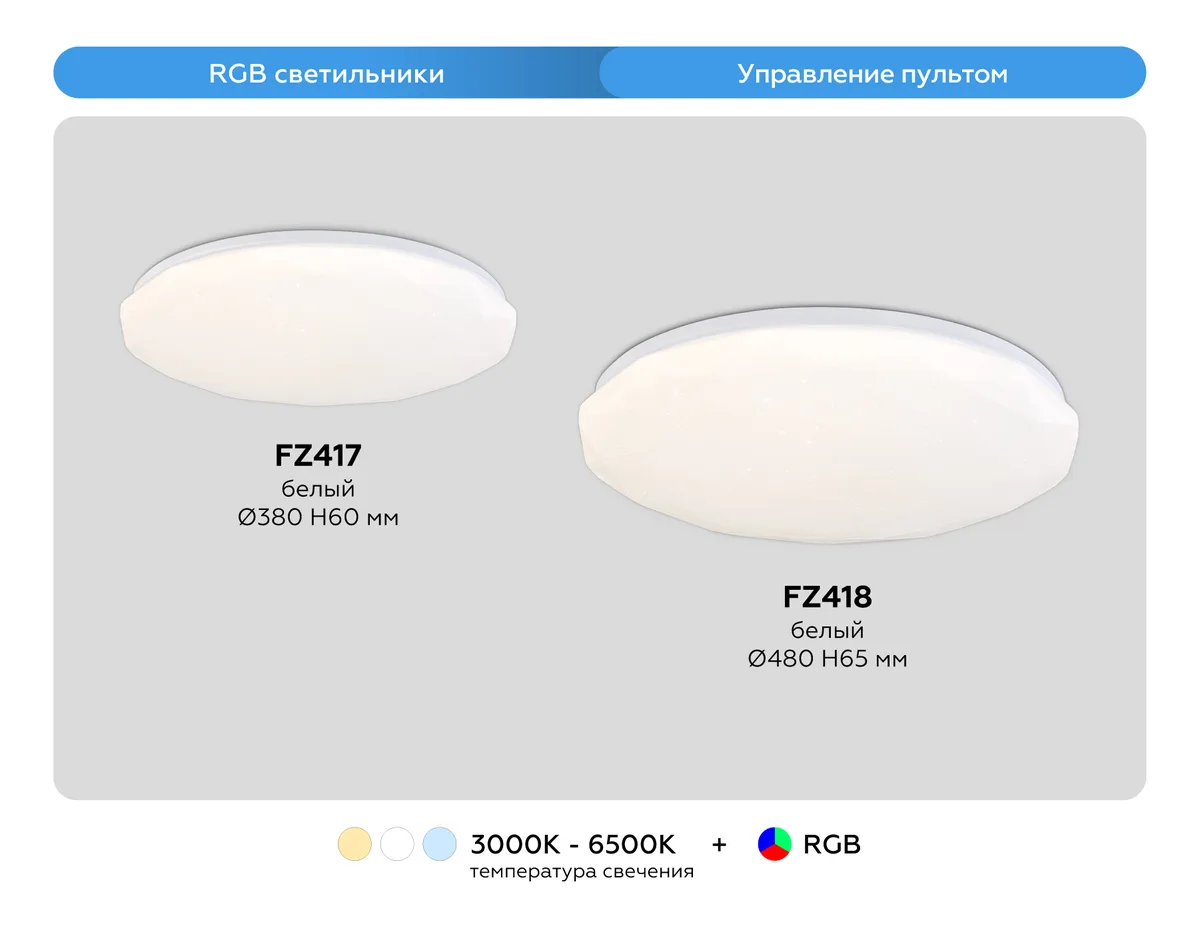 FZ418
