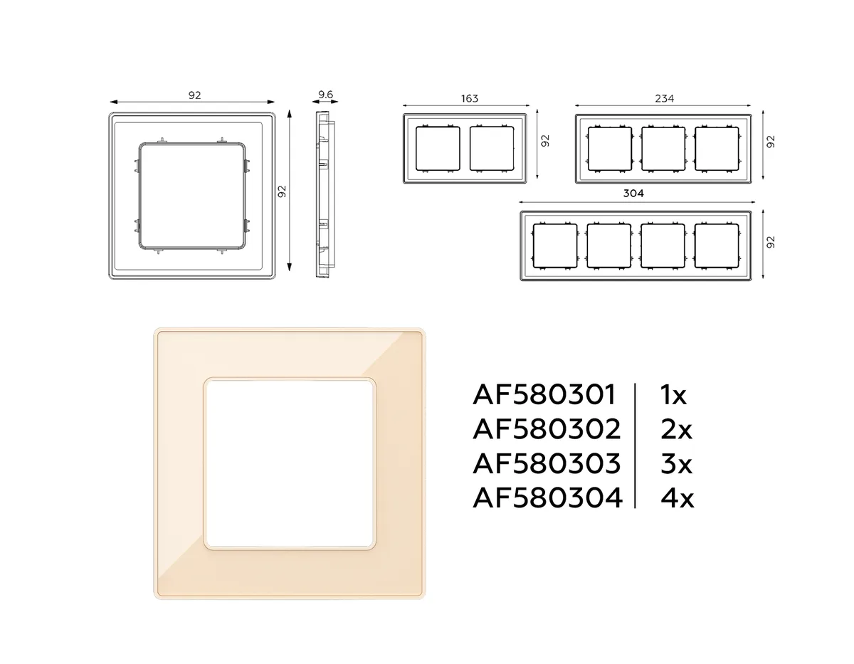 AV-AF580302