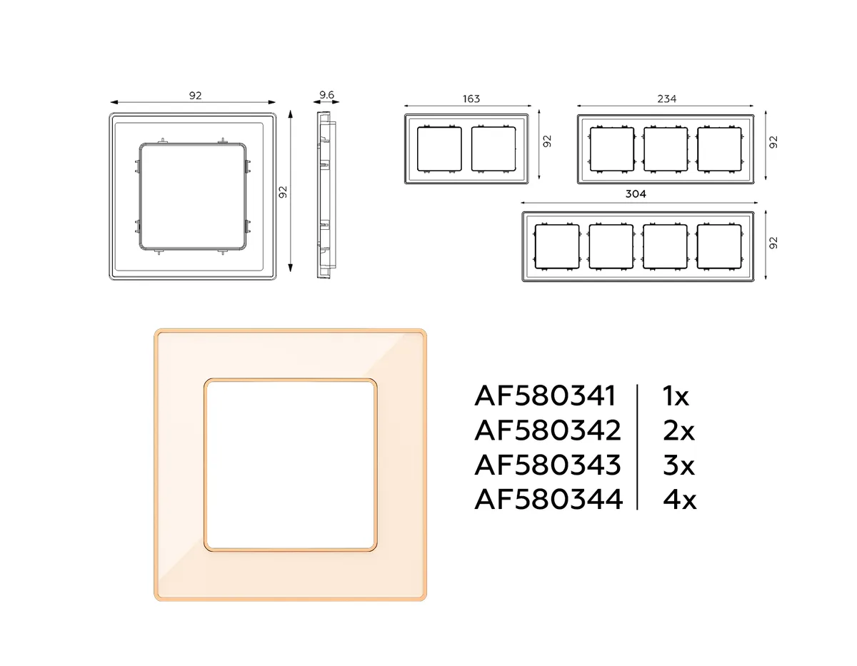 AV-AF580341