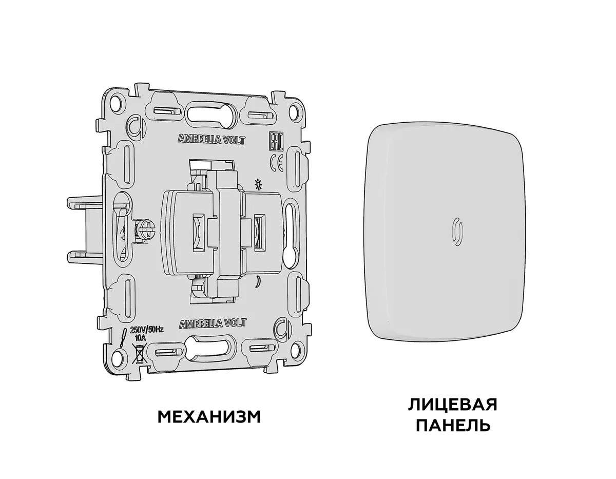 AV-MO202050