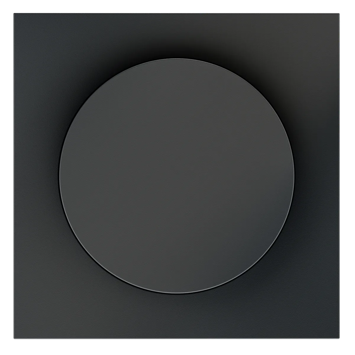 VLS002007