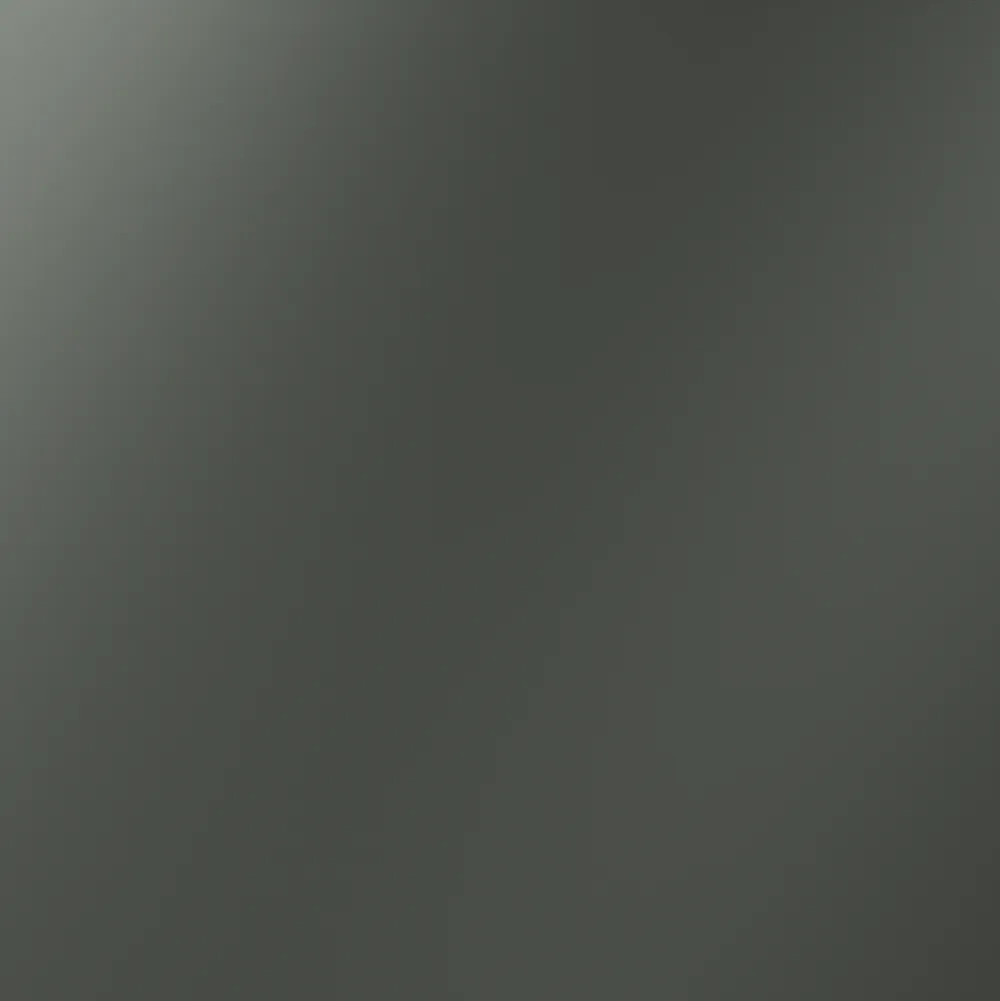 VLS080106