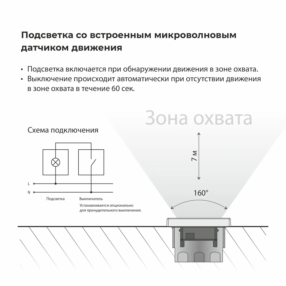 W1154601